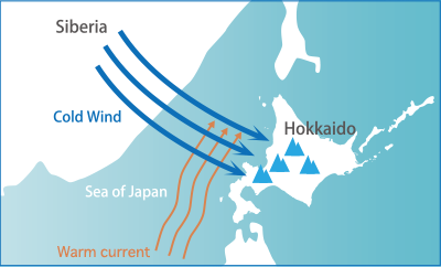 홋카이도에는 왜 파우더 스노우가 내리는가?