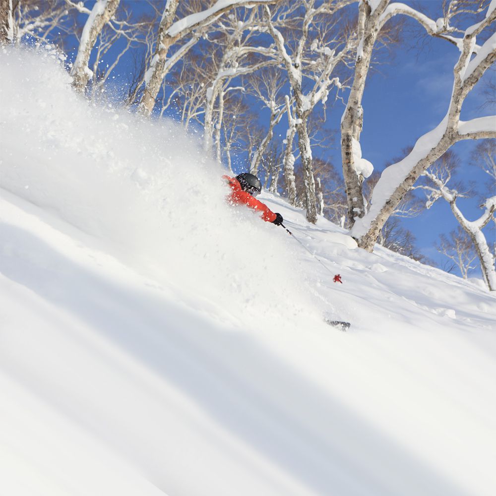 新雪谷 Mt 度假村 Grand HIRAFU