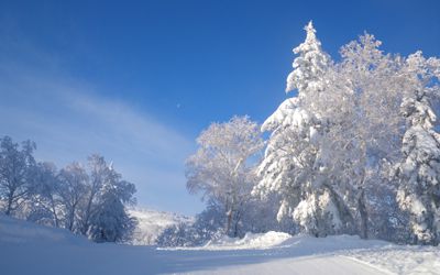 Sapporo Kokusai Ski Resort