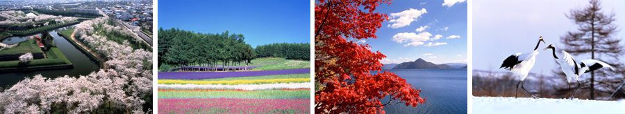 Hokkaido four seasons