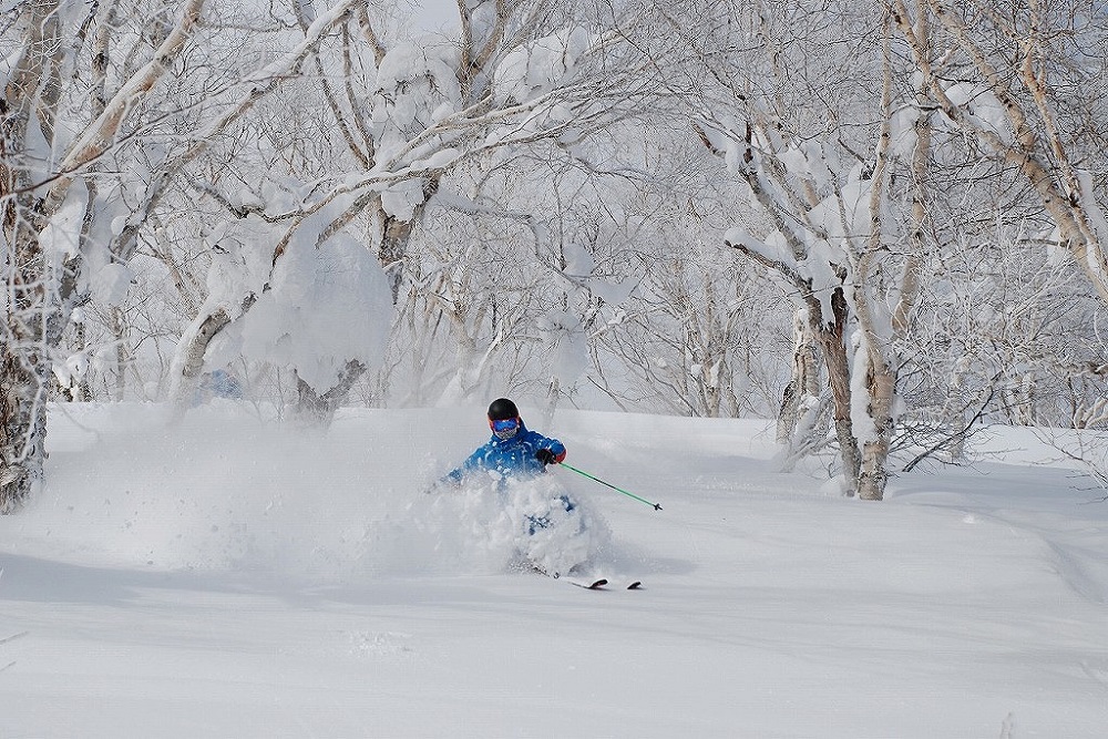 滑雪之樂_photo