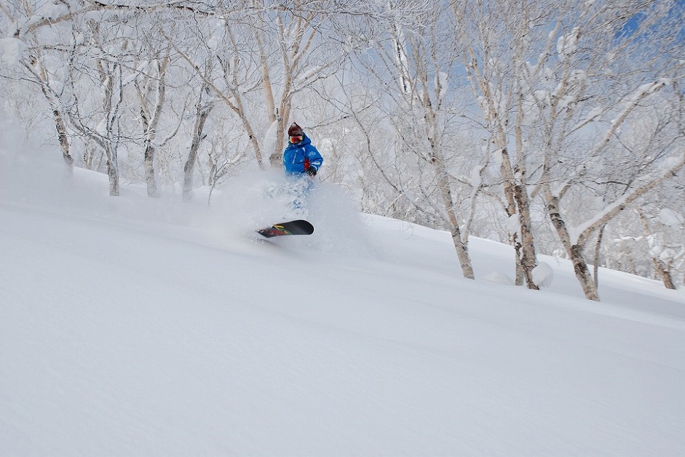 滑雪之樂_photo