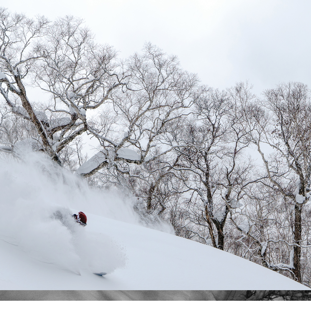 Mount Racey Ski Resort