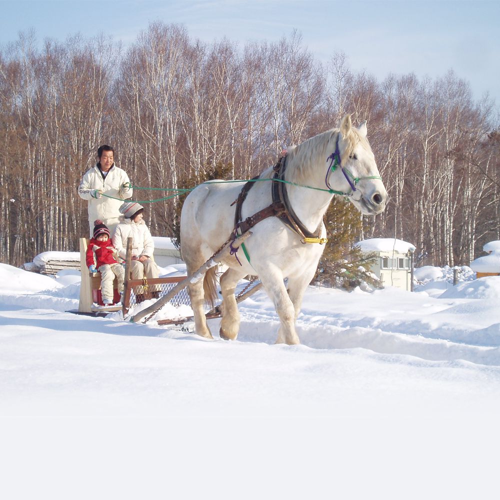 富良野滑雪场