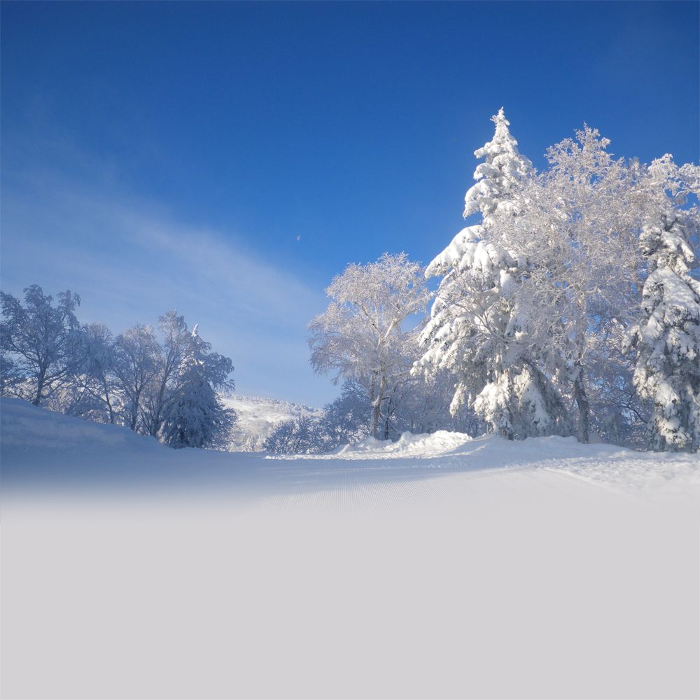 Sapporo Kokusai Ski Resort