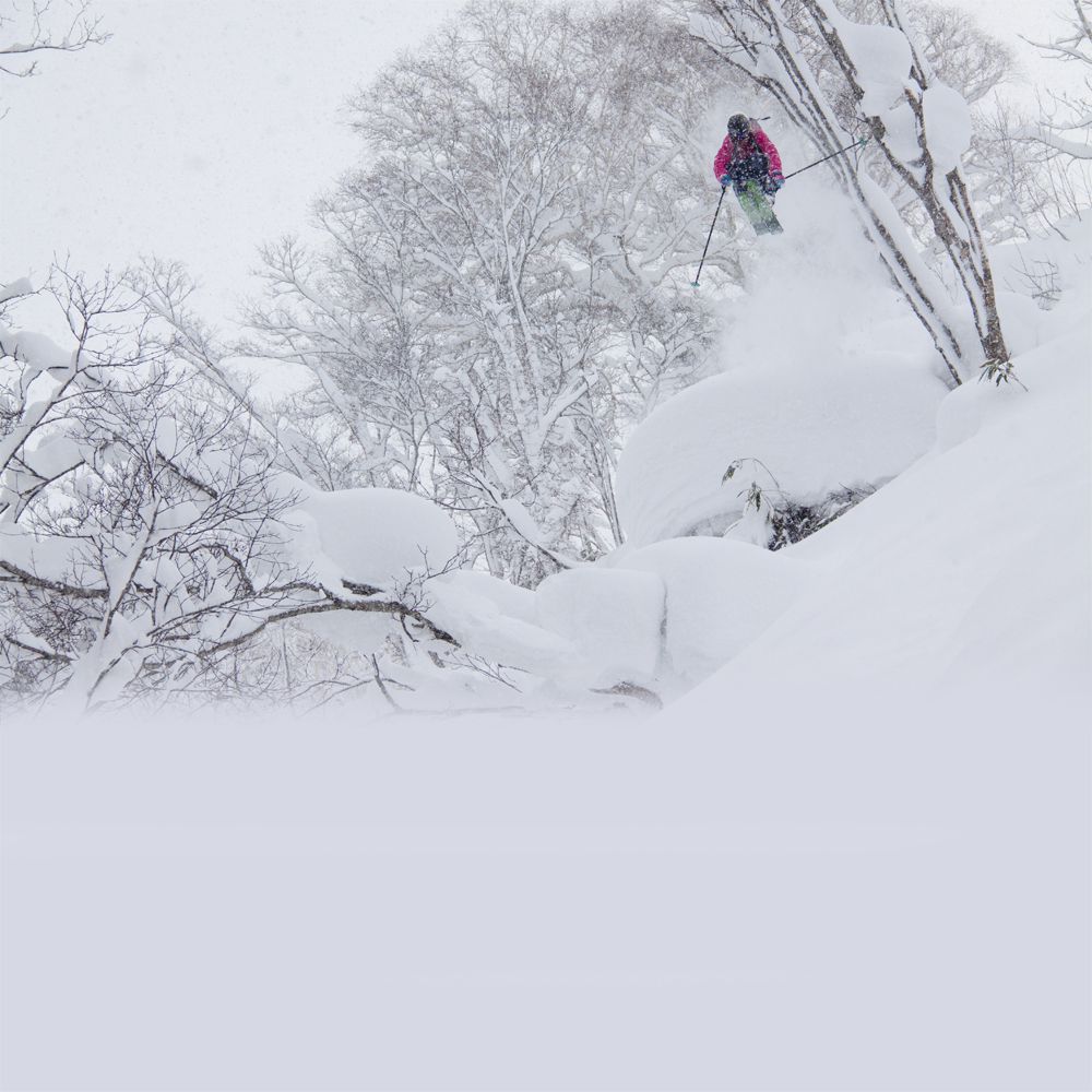 新雪谷花園度假村