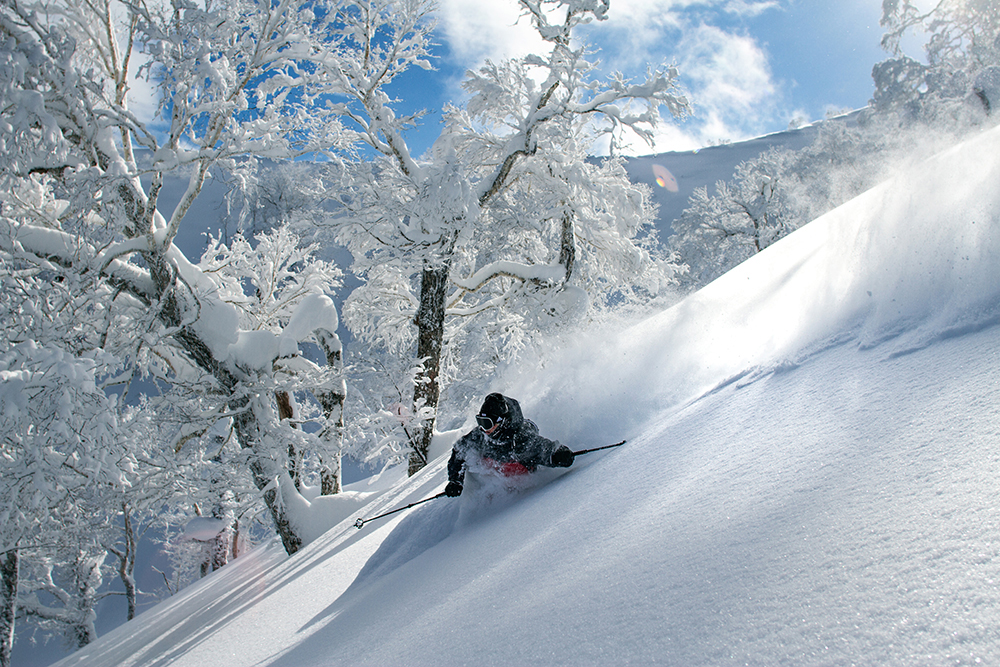 Why “JAPOW” - POWDER SNOW HOKKAIDO