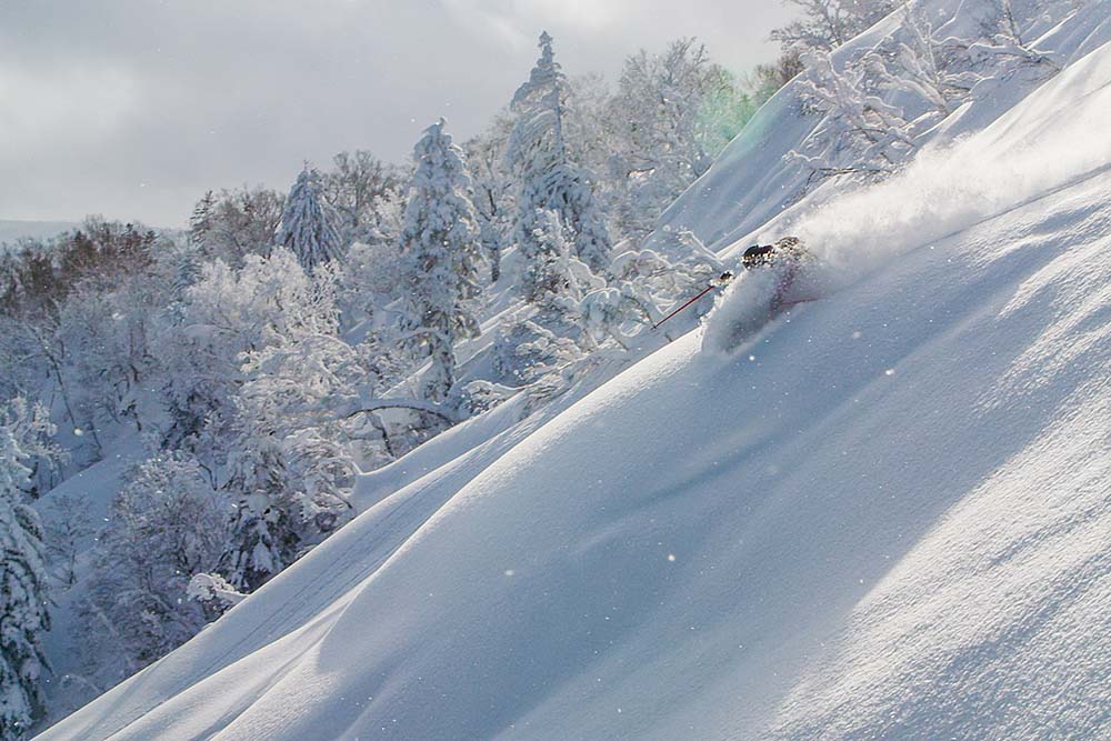 Why “JAPOW” - POWDER SNOW HOKKAIDO