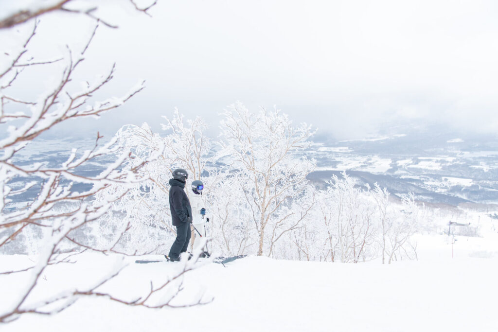 51101003805_af7742eca9_k