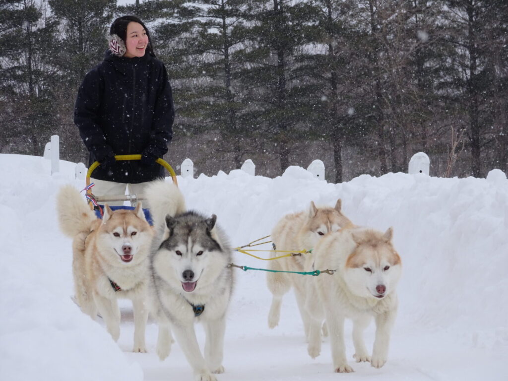 ★Furano DogSleding